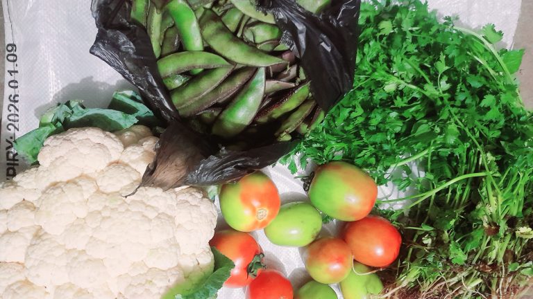 ১০০ টাকার বাজার!