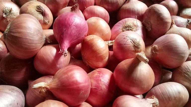 পেঁয়াজে ফের সিন্ডিকেটের থাবা প্রশাসনের নীরবতা অগ্রহণযোগ্য